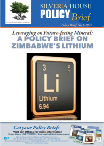 Brief lithium