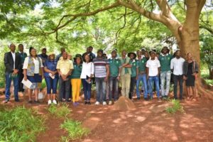 Re-greening the urban green spaces in Harare